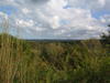P5010221.JPG